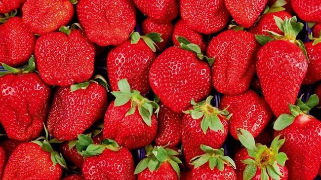 Ποια φρούτα και λαχανικά προηγούνται στην κούρσα των εξαγωγών - Ποια κατέβασαν ταχύτητα