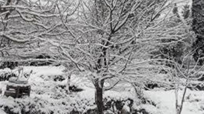 Συσκέψεις για τον καθορισμό της διαδικασίας αντιμετώπισης των ζημιών από το ακραίο καιρικό φαινόμενο «Μήδεια»