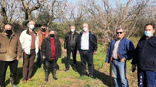 Δήμος Κιλελέρ: Κλιμάκιο του ΕΛΓΑ στις παγετόπληκτες καλλιέργειες