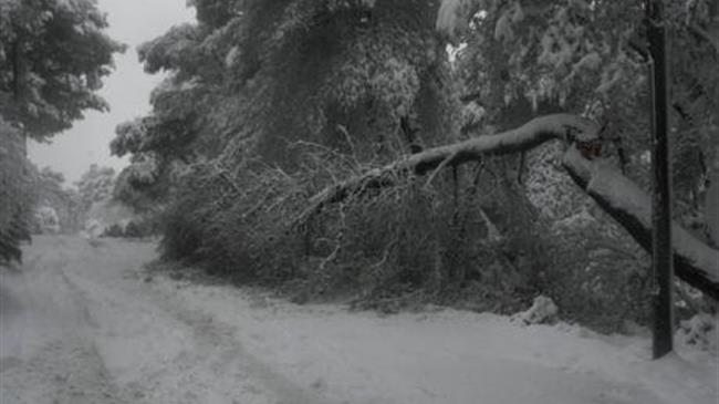 Κηφισιά: Σε λίπασμα μετατράπηκαν τα κλαδιά από τις καταστροφές της «Μήδειας»