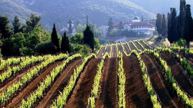 Ζαχαράκη: Ο ελληνικός οινοτουρισμός, ιδιαίτερα τα τελευταία χρόνια, έχει κάνει μεγάλα βήματα μπροστά