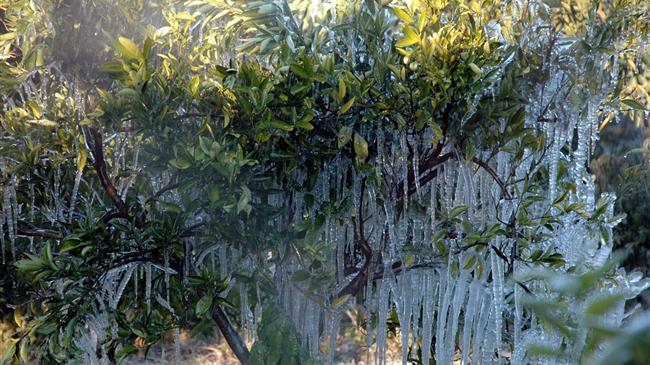 Κλιματική αλλαγή: Περισσότερες καυτές μέρες το καλοκαίρι μέχρι το 2050 - Η επίδραση στη γεωργία