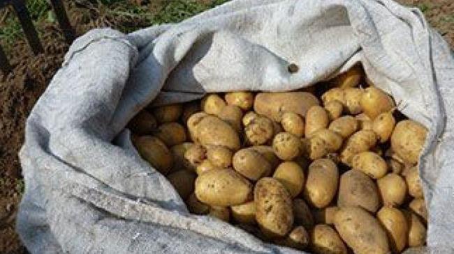 Οι ελληνοποιήσεις «χτύπησαν» και την πατάτα – Συνάντηση Γεωργαντά-Νίκα στις 23 Μαρτίου