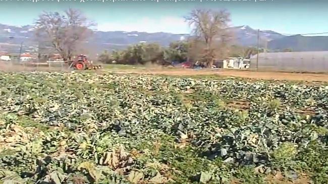 Στήριξη ζητούν οι αγρότες που χτυπήθηκαν από τη «Μήδεια»