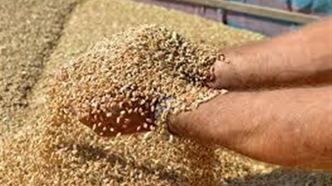 Μικτές οι τάσεις στις διεθνείς αγορές αγροτικών προϊόντων - Ποια προϊόντα κερδίζουν