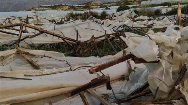 Η «Μήδεια» ισοπέδωσε θερμοκήπια