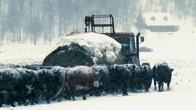 Μήδεια: Απαγόρευση της κυκλοφορίας των φορτηγών από τη Λάρισα και κάτω