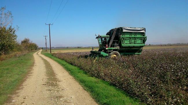 Συνδεδεμένες ενισχύσεις: Το απόγευμα η καταβολή των ενισχύσεων