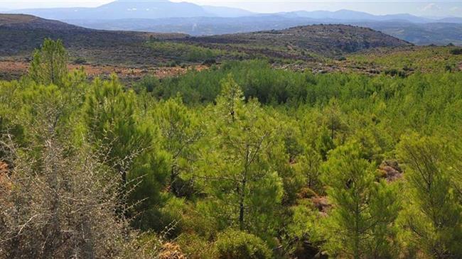 Στον προθάλαμο των Γεωπάρκων της UNESCO η περιοχή Γρεβενών – Κοζάνης