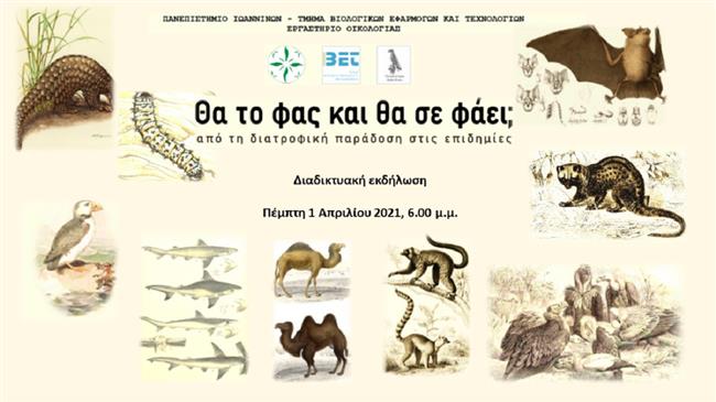 Μεζέ νυχτερίδας, κάμπια γιαχνί και πτερύγιο καρχαρία «σερβίρουν» φοιτητές του Πανεπιστημίου Ιωαννίνων