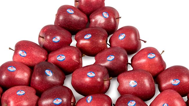 Μήλα ΖΑGORIN: Πέτυχαν την υψηλότερη διάκριση στα Μεσογειακά Βραβεία Γεύσης 2021