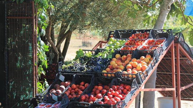 Κλειστές οι λαϊκές αγορές την Τετάρτη 3 Δεκεμβρίου 2025
