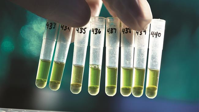 H Bayer δημιουργεί ένα κορυφαίο χαρτοφυλάκιο λύσεων για τη γεωργία