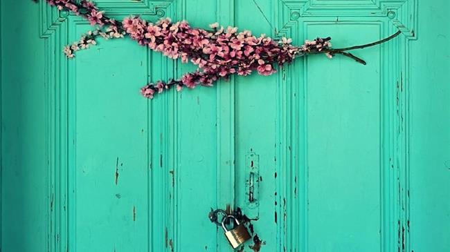 Ανθισμένες Ροδακινιές: Μήνυμα ελπίδας με φωτογραφία και ποίηση