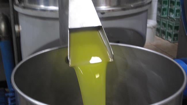 Αχαΐα: Προσποιούνταν τους εμπόρους λαδιού εξαπατώντας αγρότες – 120.000 ευρώ τα κέρδη – Συλλήψεις