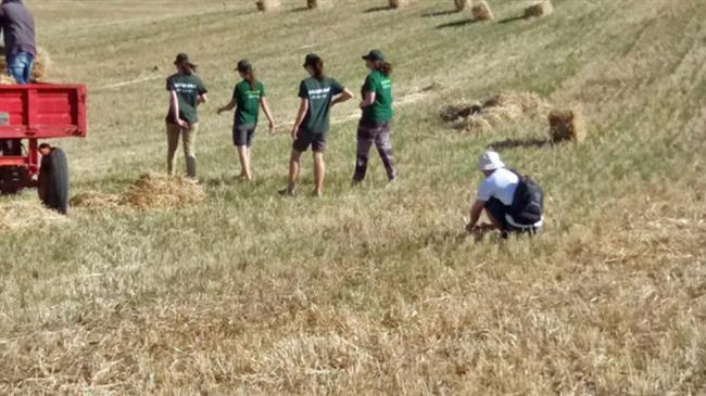 Greenpeace: Έρευνα για παραγωγούς στη χώρα