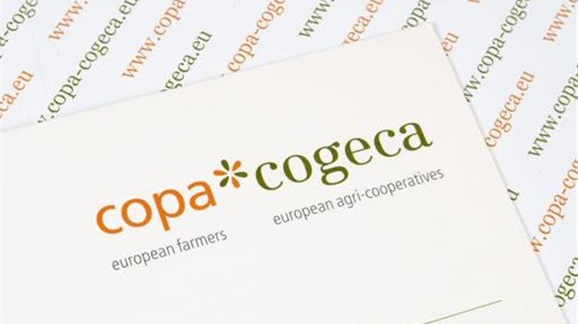 COPA-Cogeca: Κακές προοπτικές για τη συγκομιδή σιτηρών 2024/25 στην ΕΕ-27