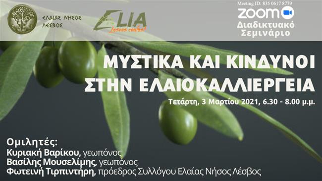Ψηφιακό σεμινάριο για τα “μυστικά” και τους κίνδυνους στην ελαιοκαλλιέργεια στη Λέσβο