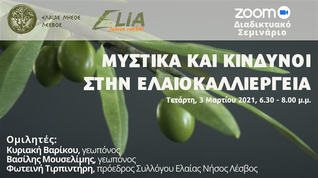 Μυστικά και κίνδυνοι στην ελαιοκαλλιέργεια