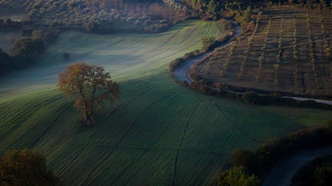 ΜέΡΑ25: Δασικοί Χάρτες – Ένα ακόμη δώρο στο ΤΑΙΠΕΔ!