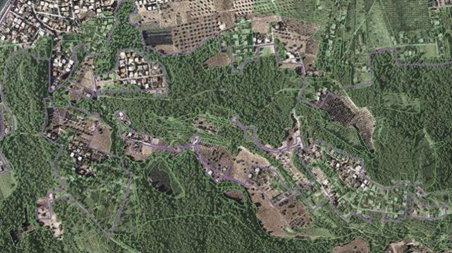 Δασικοί χάρτες: Πολλά τα προβλήματα - Εκκρεμούν νομοθετικές διορθώσεις