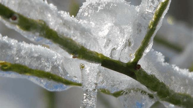 Την Τρίτη οι αποζημιώσεις του ‘ΠΑΓΕΤΟΣ ΑΝΟΙΞΗ 2021’ από τον ΕΛΓΑ