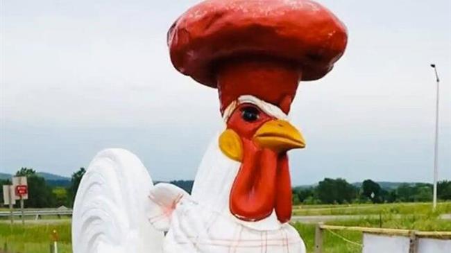 ΗΠΑ: Aμοιβή από εστιάτορα για να βρεθεί ο... κόκορας που κλάπηκε από το εστιατόριό του