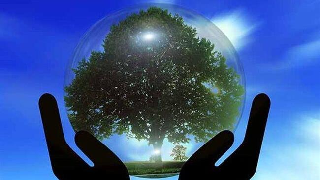 On the release of the Zero pollution action plan