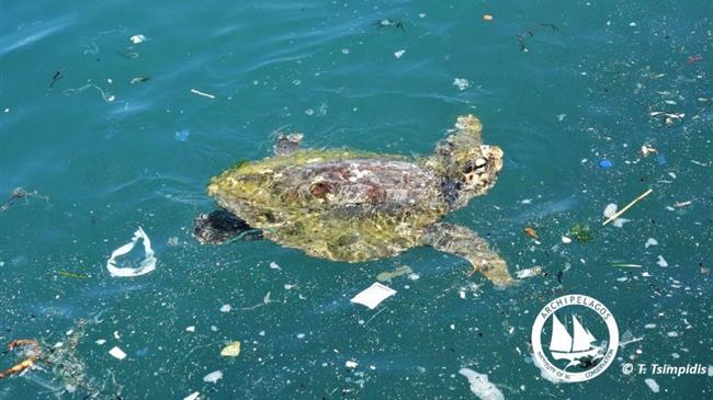 Ινστιτούτο Αρχιπέλαγος: “Οι καταναλωτικές συνήθειες καταστρέφουν το θαλάσσιο περιβάλλον”