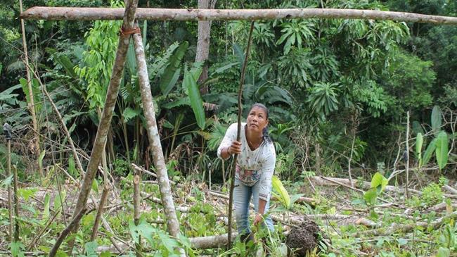 Climate change and indigenous peoples, afro-descendants and migrants examined at global seminar