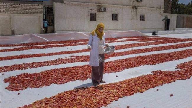 The world is converging on the need for sustainable agri-food systems