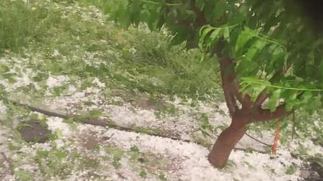 Χαριστική βολή σε καλλιέργειες της Πέλλας η χαλαζόπτωση