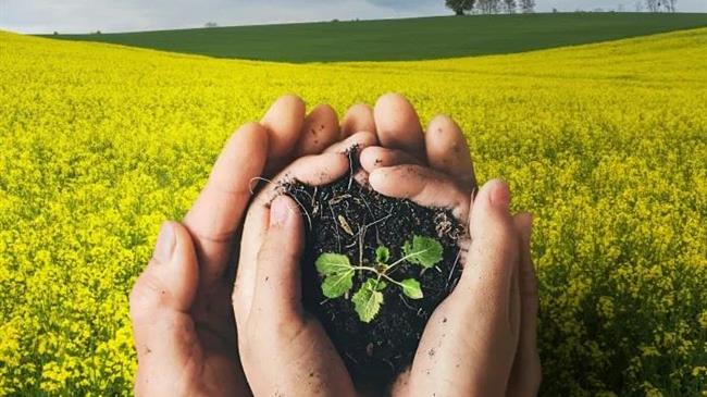 Corteva Agriscience: Καινοτόμες θεραπείες σπόρων και αποκλειστικές συμφωνίες για βιώσιμη γεωργία