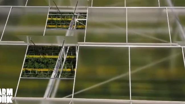 FARM TO FORK: Βιώσιμη γεωργία και νέα μοντέλα που εξασφαλίζουν προϊόντα υψηλής ποιότητας