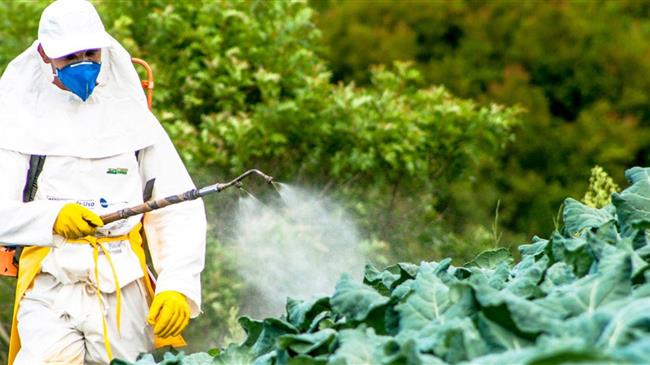 Q&A on Pests and Pesticide Management