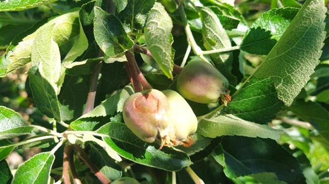 Οι περιοχές που επλήγησαν από το Χαλάζι στην Καστοριά