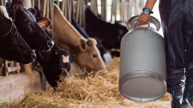 Πώς θησαυρίζουν οι γαλακτοβιομηχανίες σε βάρος των αγελαδοτρόφων και των καταναλωτών