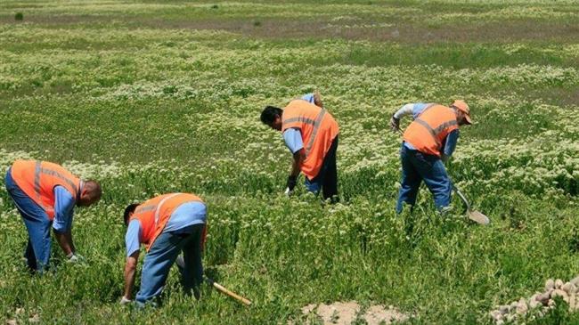 Ελ Σαλβαδόρ: Κρατούμενοι καλλιεργούν λαχανικά και την… αποφυλάκιση τους