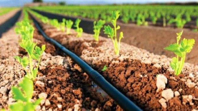 Δ. Ελλάδα: Έως 3,3 εκατ. ευρώ για την εξοικονόμηση ύδατος μέσω του ΠΑΑ