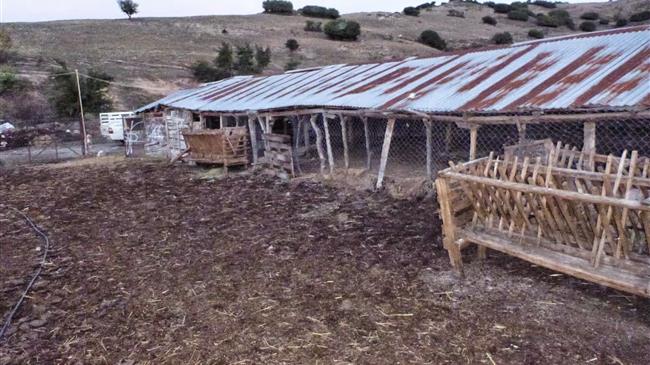 Διευκολύνεται η διαδικασία νομιμοποίησης των πρόχειρων καταλυμάτων ζώων