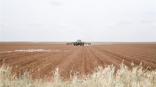 Πως θα ανθίσουν τα ψηφιακά αγροκτήματα - Στο περίμενε οι εξηγήσεις για τις πραγματικές καλλιέργειες που έσβησαν