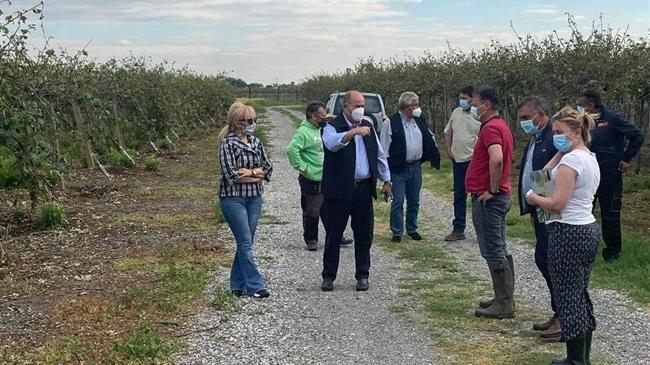 Επίσκεψη Αντιπεριφερειάρχη Πιερίας στις πληγείσες από το χαλάζι καλλιέργειες της περιοχής του Δήμου Δίου-Ολύμπου