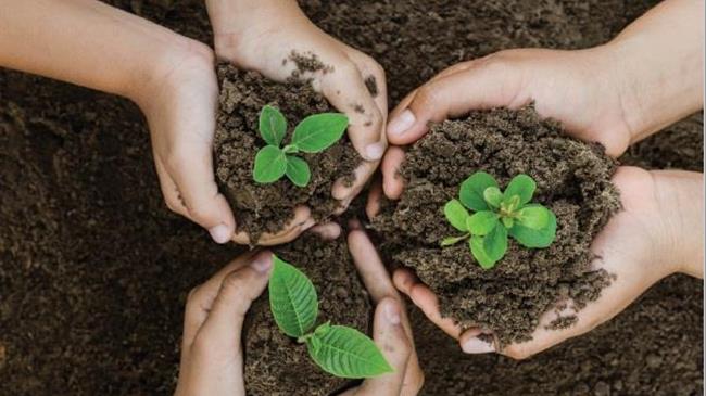 Ενιαίος Αγροτικός Σύλλογος Ιεράπετρας: Για τα ανακυκλώσιμα υλικά φύτευσης