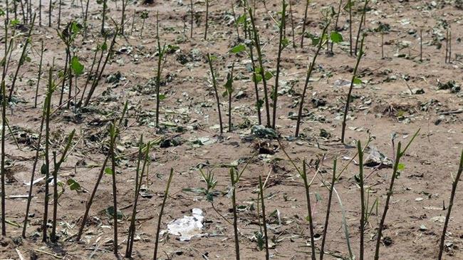 Θεσσαλία: Διεκδικούν αποζημιώσεις μέσα στο Νοέμβριο