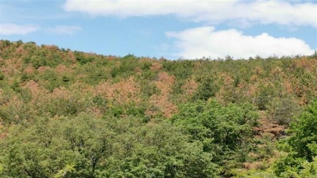 Πυρκαγιές και φυσικές καταστροφές: Εκ βάθρων αλλαγές με το Ταμείο Ανάκαμψης