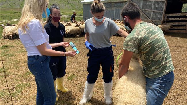 Φωτεινή Αραμπατζή: «Η παραγωγική σύνδεση της επιστήμης με την παράδοση δίνει πολύ μεγάλες δυνατότητες στην ελληνική κτηνοτροφία.