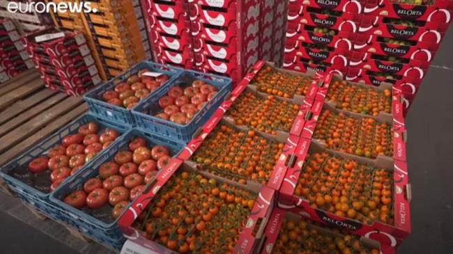 BelOrta (Βέλγιο): Η τεράστια δημοπρασία φρέσκων προϊόντων αποφέρει καρπούς