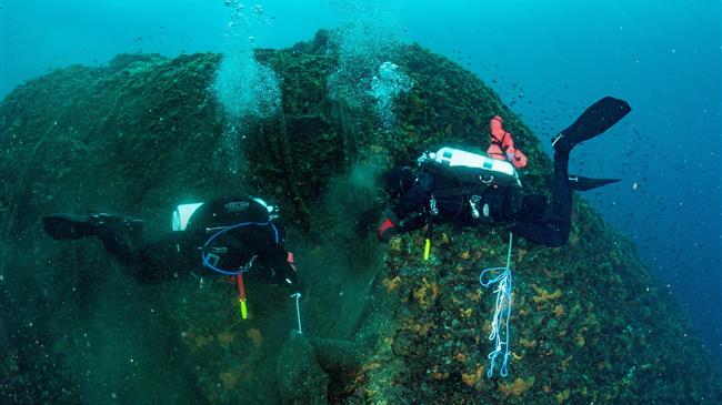 SOS από επιστήμονες  - Βλέπουν "κατάρρευση" της βιοποικιλότητας της Μεσογείου μέσα σε 30 χρόνια