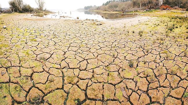 Worsening soil pollution threatens future food production and ecosystems, FAO-UNEP