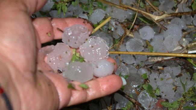 Καβάλα: Καταστροφές σε καλλιέργειες λόγω χαλαζόπτωσης